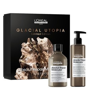 L'Oréal Expert Absolut Repair Gold Quinoa Shampoo