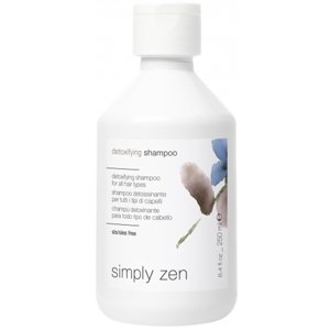 Simply Zen Detoxifying Detoxifikačný šampón pre všetky typy vlasov 250ml